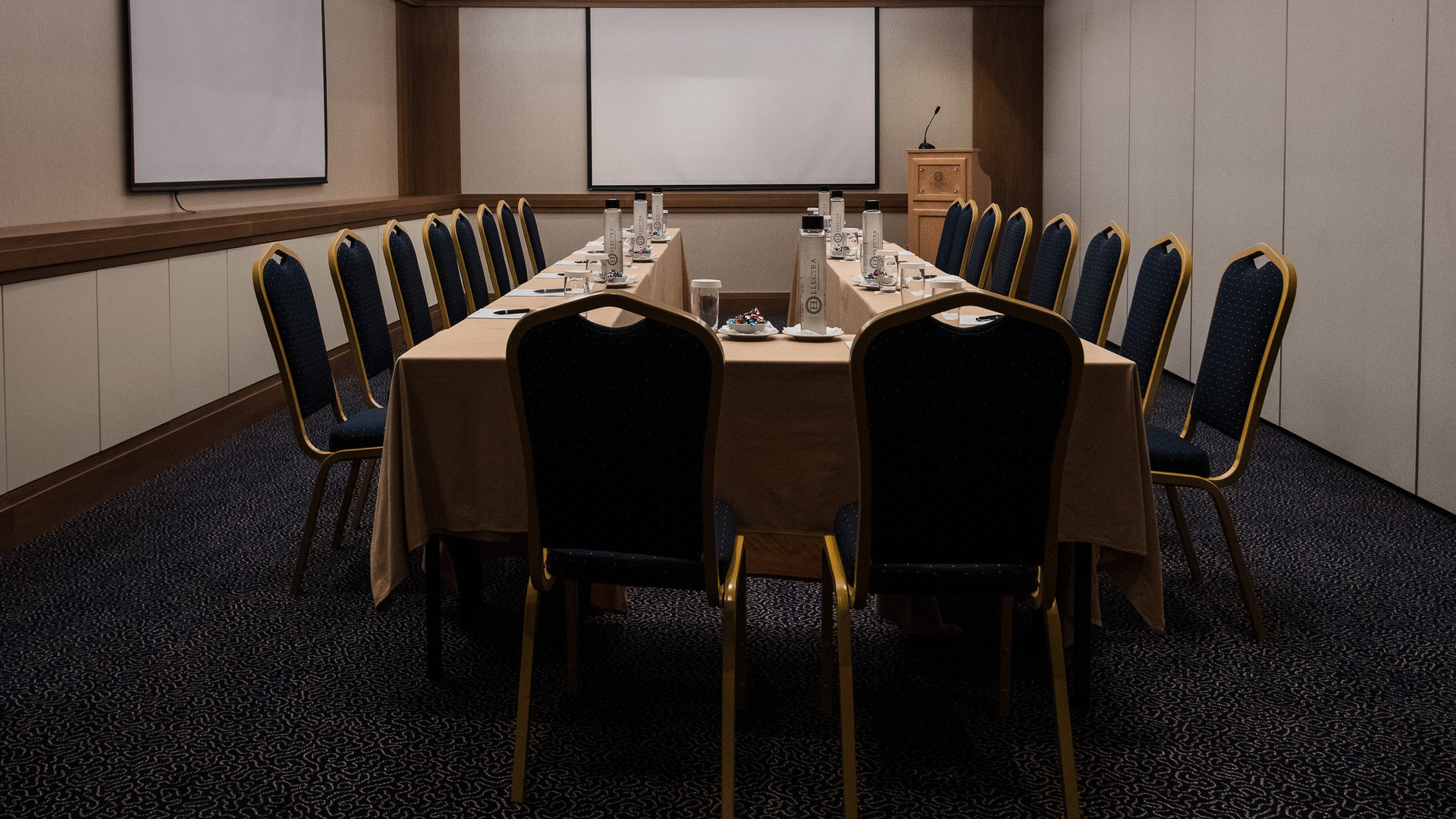 Electra_Hotel_Athens_Conference_Room_©stavroshabakis (13)