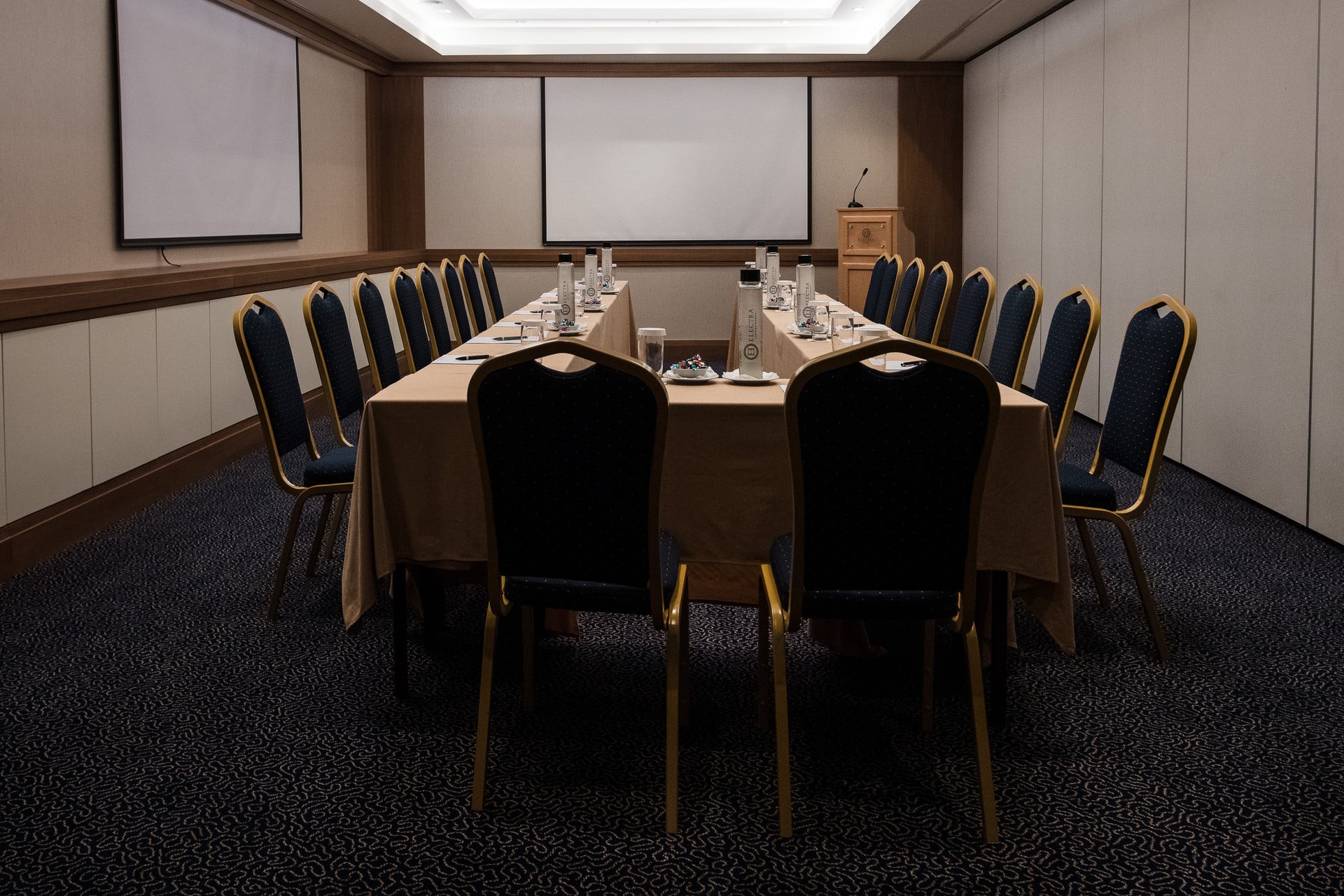 Electra_Hotel_Athens_Conference_Room_©stavroshabakis (13)