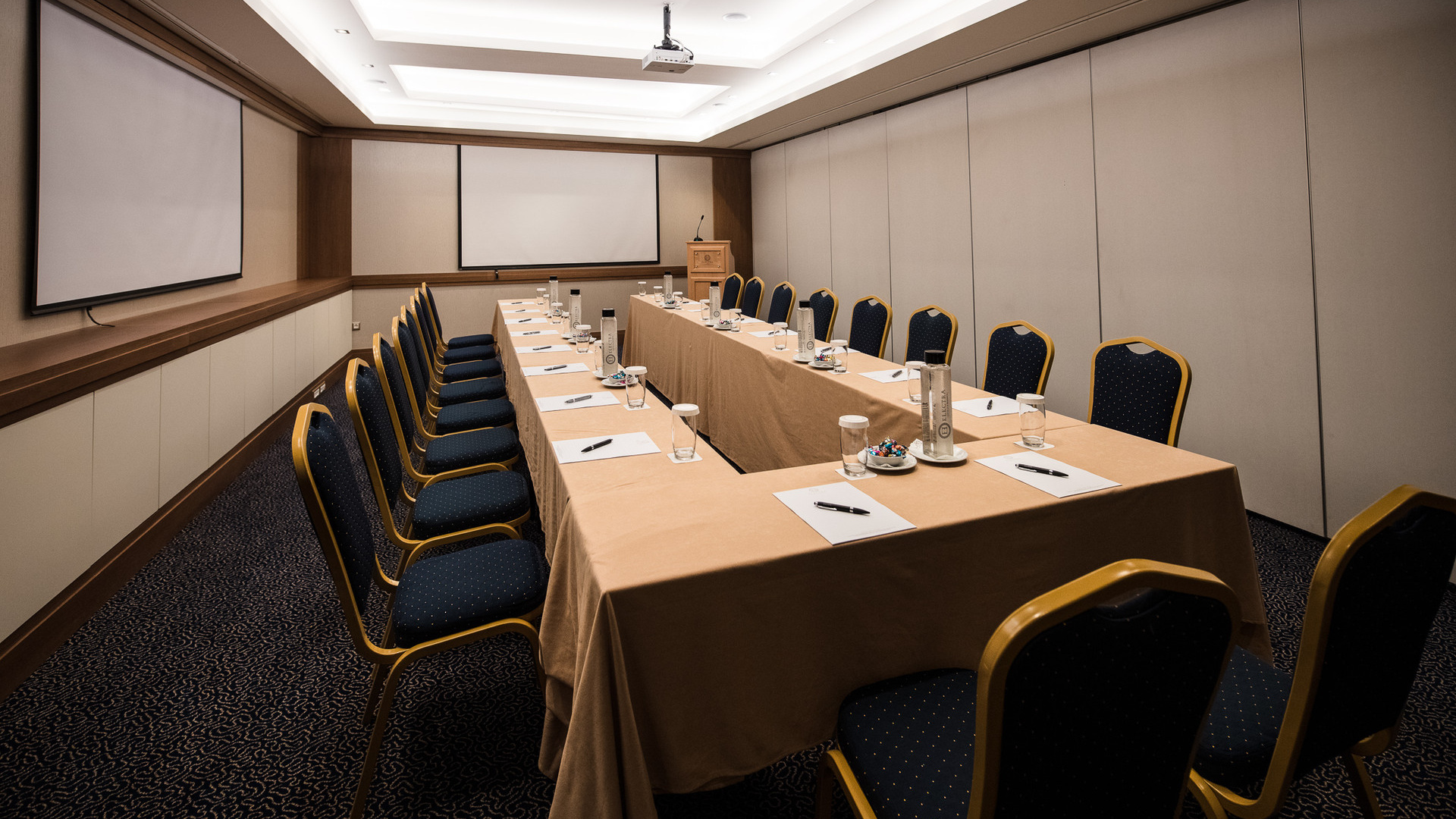 Electra_Hotel_Athens_Conference_Room_©stavroshabakis (2)