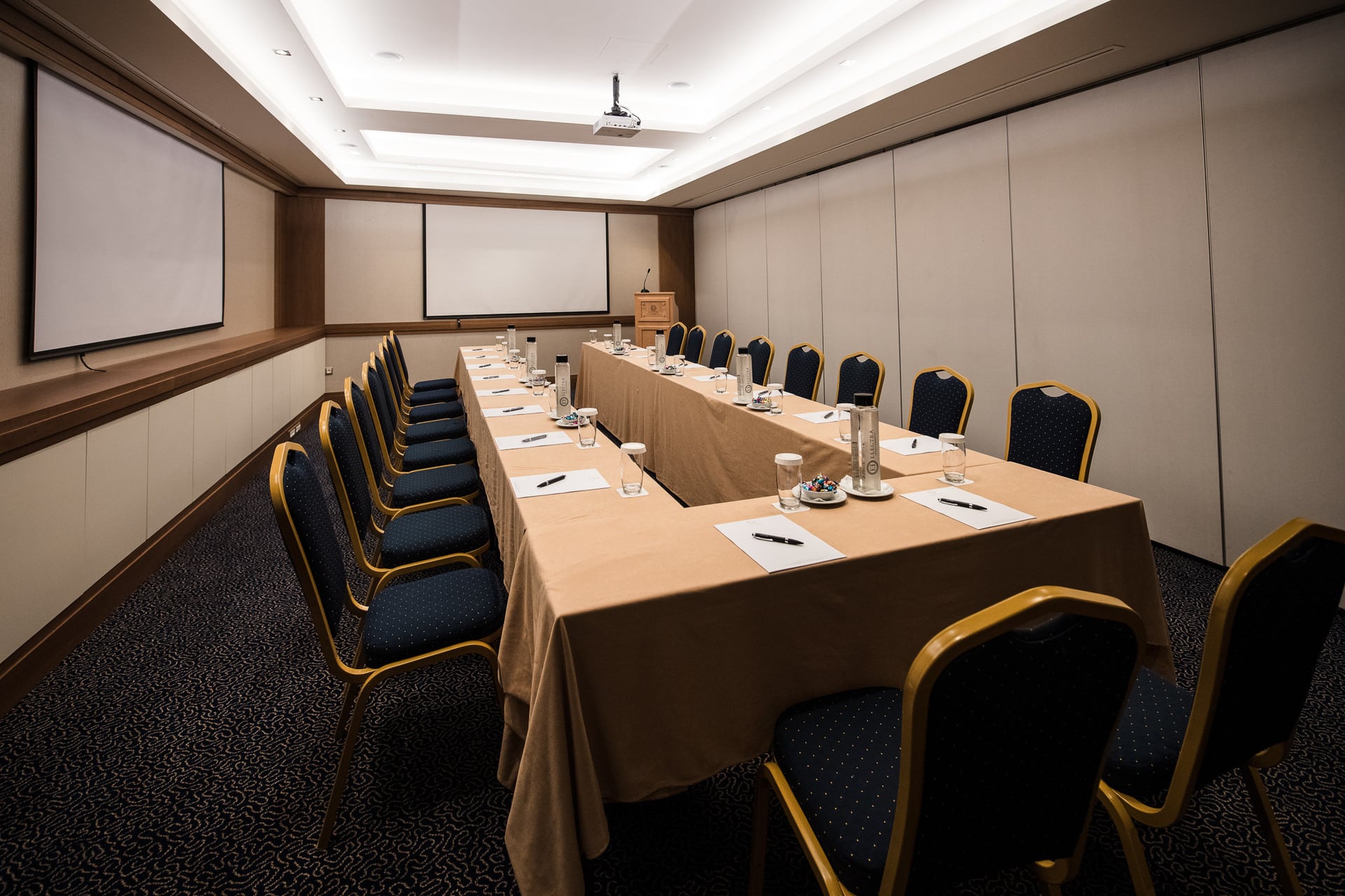 Electra_Hotel_Athens_Conference_Room_©stavroshabakis (2)