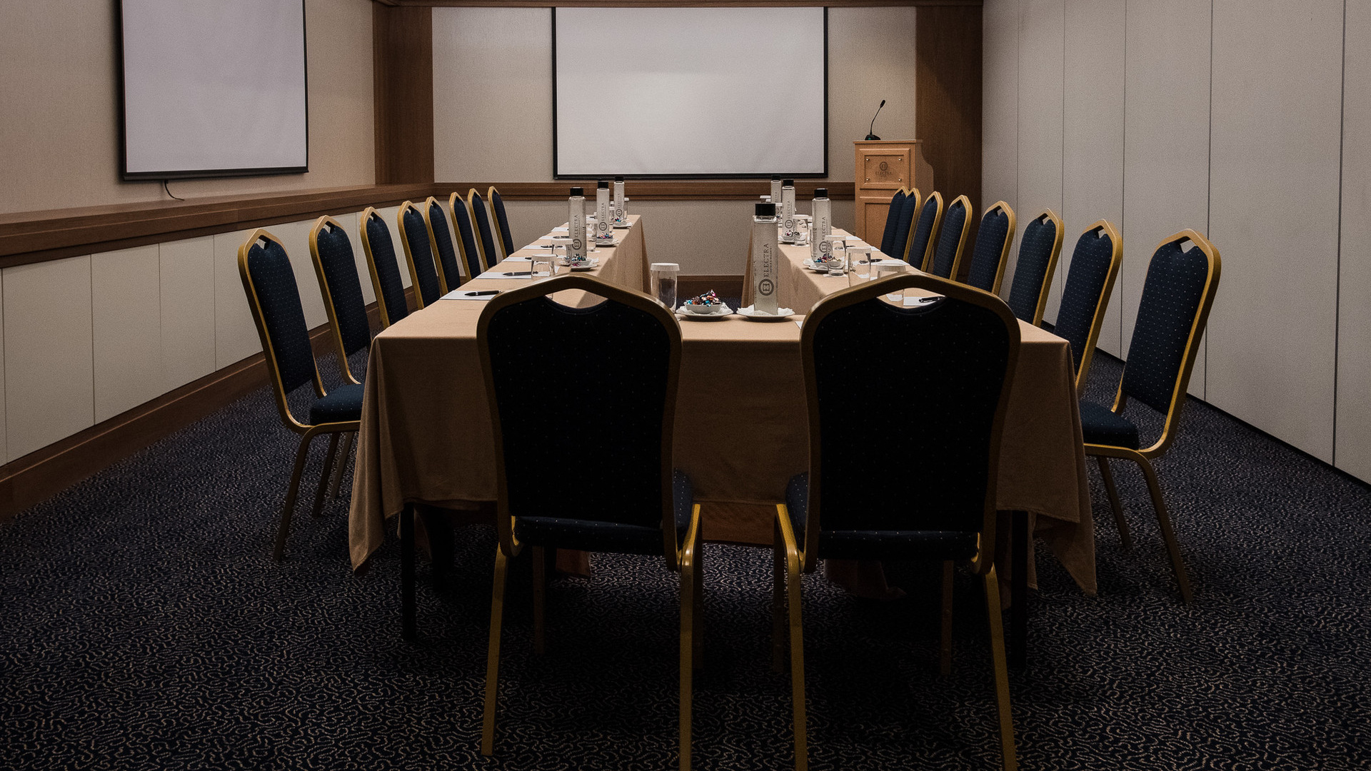 Electra_Hotel_Athens_Conference_Room_©stavroshabakis (7)