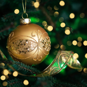 Close Up Of Golden Ball On Christmas Tree. Christmas Fir Tree Wi